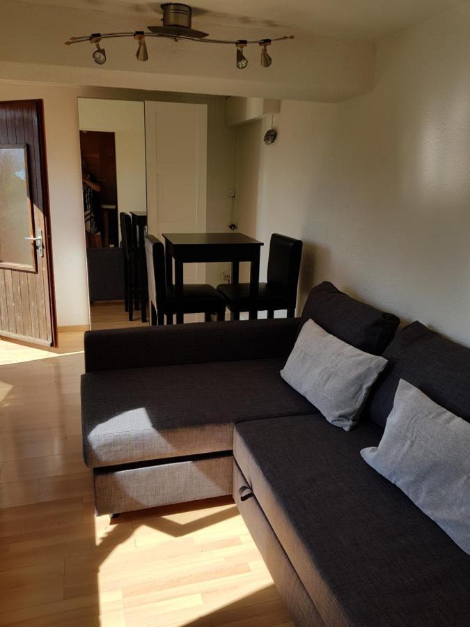 Chalet Le Muguet Villa Ovronnaz Eksteriør billede